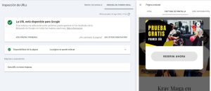 Ejemplo de renderizado a través de Google Search Console